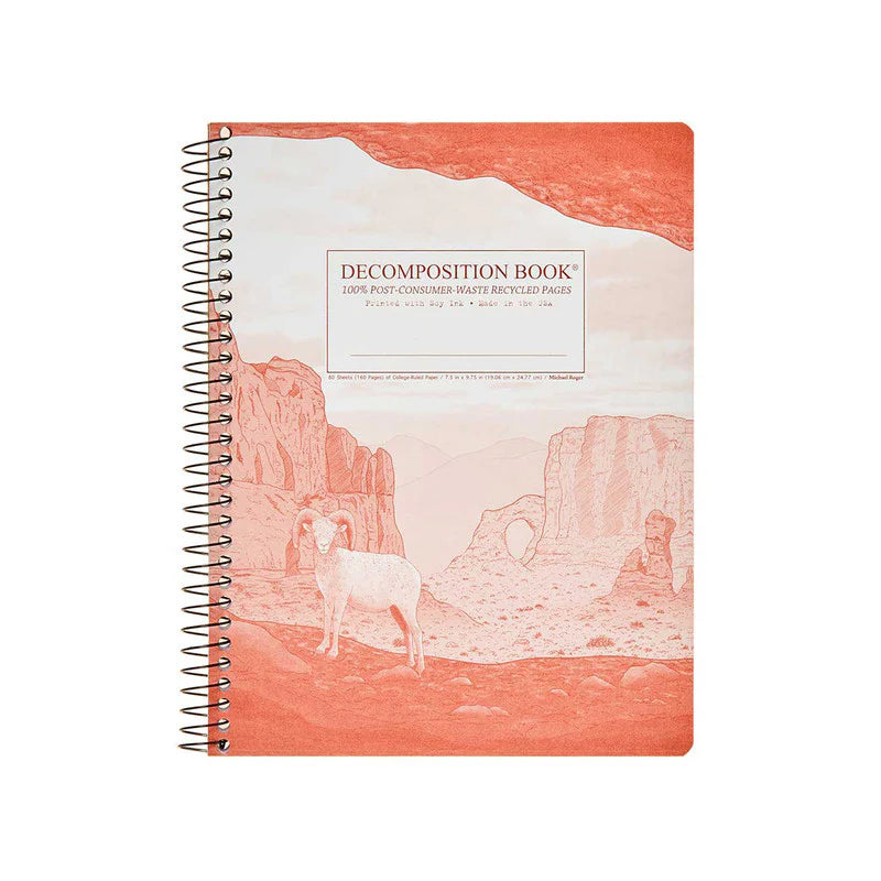 Decomposition Notebook Large - Spiral