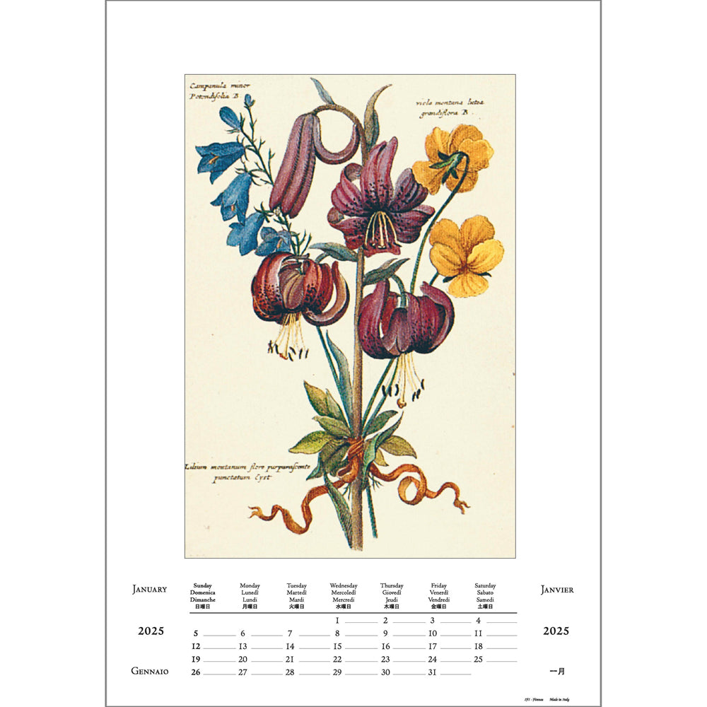 Botanica Large Wall Calendar 2025