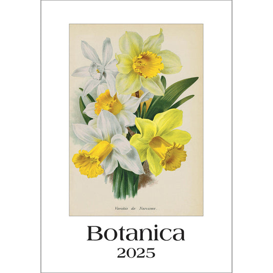 Botanica Large Wall Calendar 2025