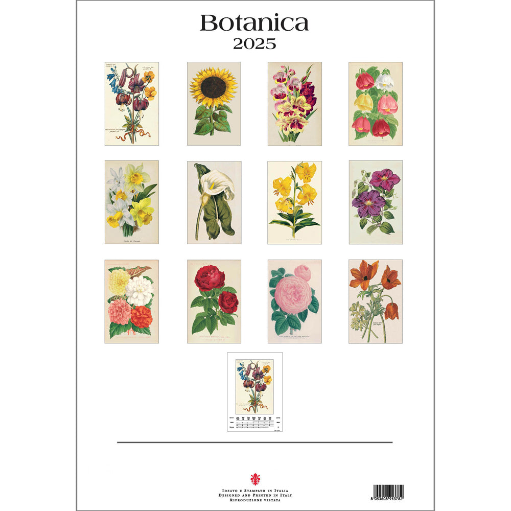 Botanica Large Wall Calendar 2025