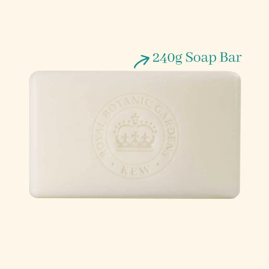 Kew Gardens Narcissus Lime Soap