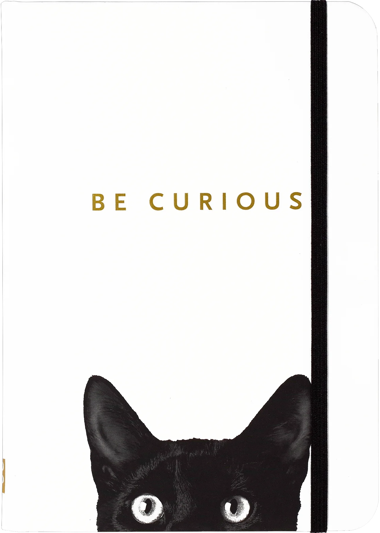 Curious Cat Small Journal