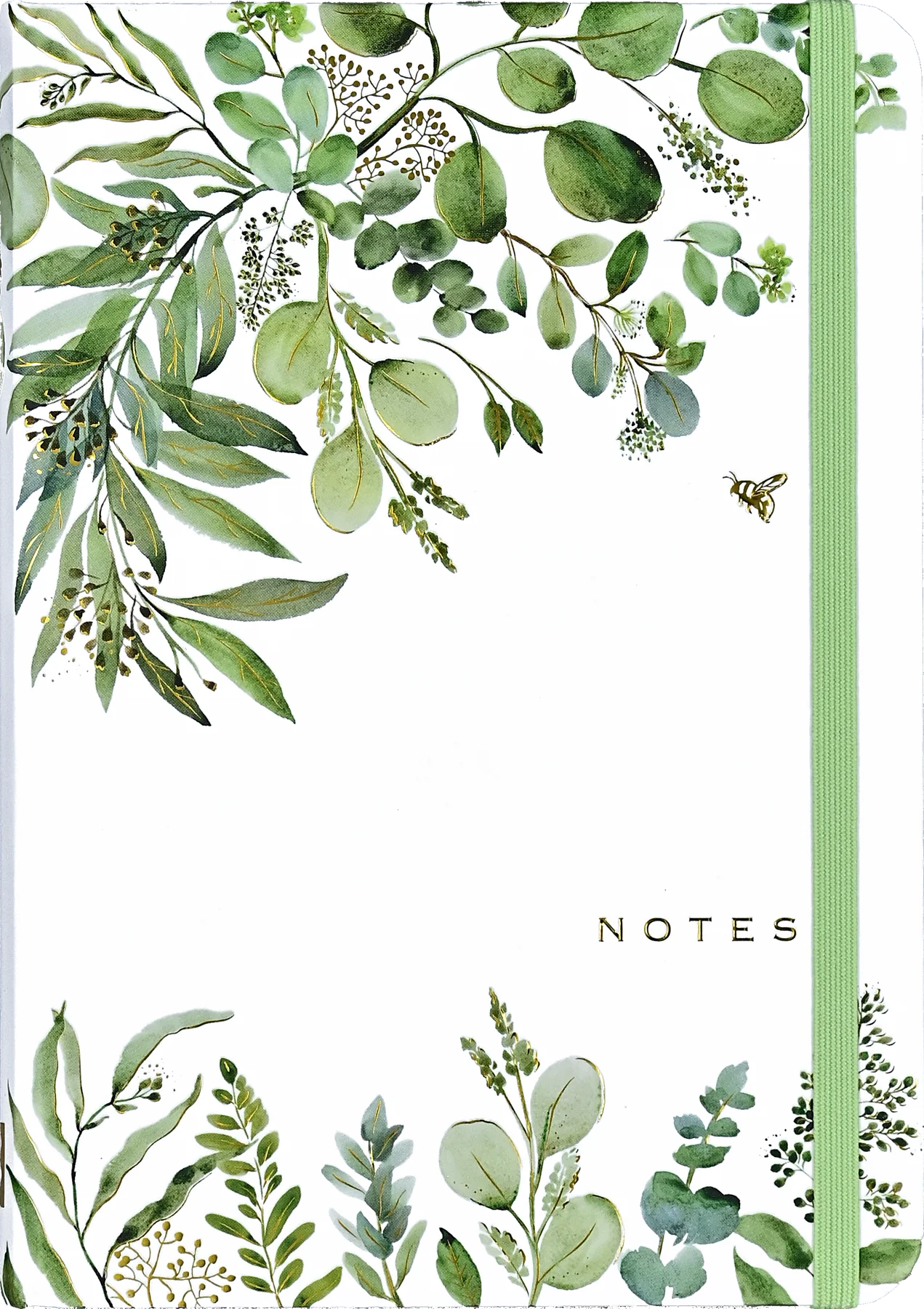 Eucalyptus Journal