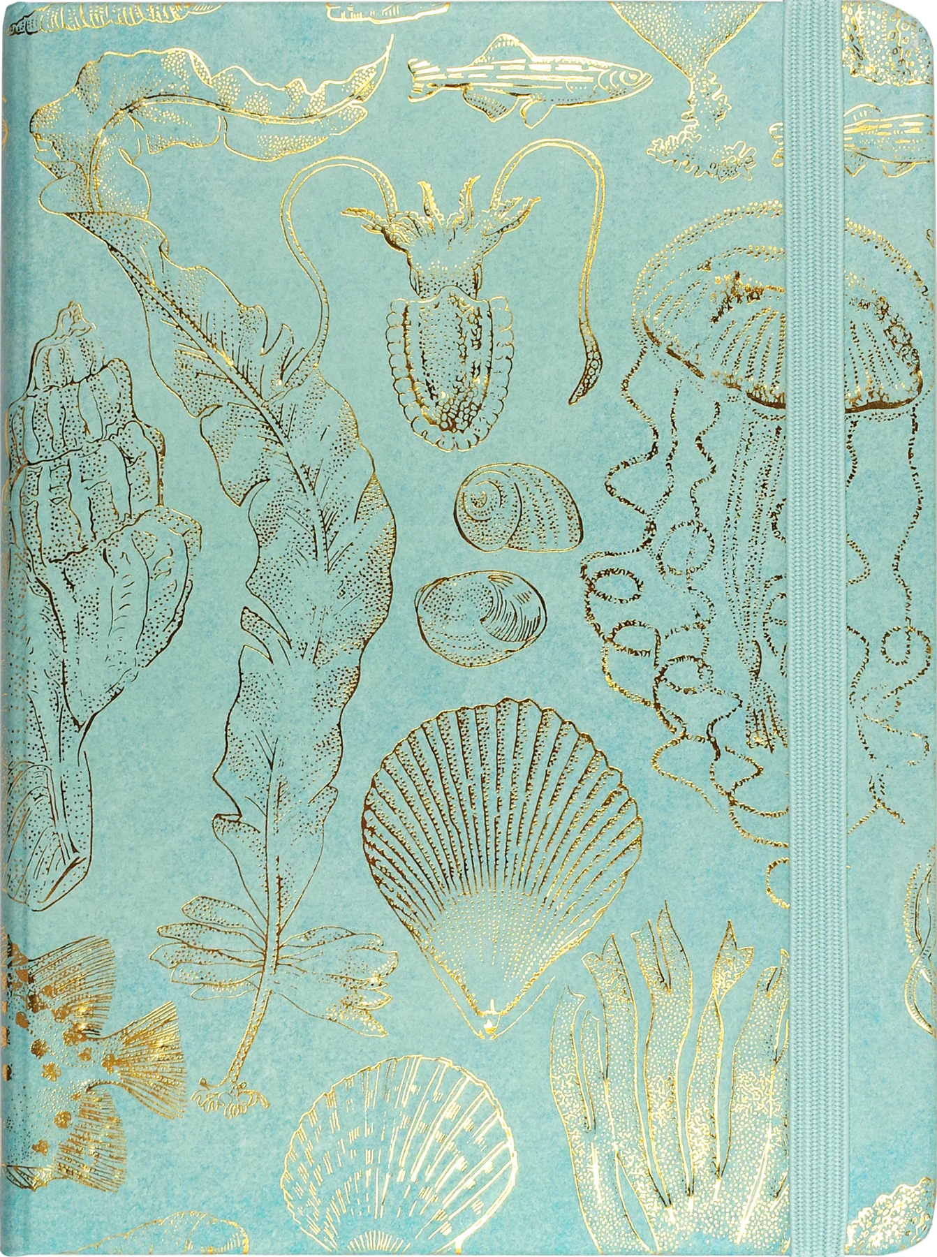 Sealife Sketches Journal Mid